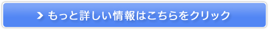 イモトのWiFi販売サイトへ
